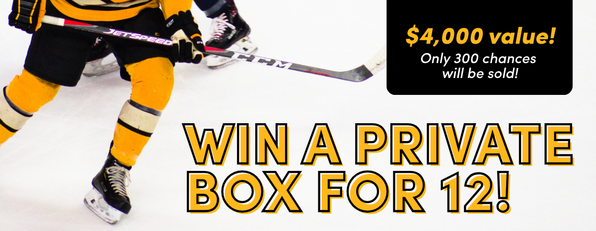 Penguins Suite Raffle